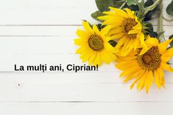 Mesaje și urări de Sf. Ciprian 2025: Cele mai frumoase felicitări pentru ziua de 2 octombrie Mesaje și urări de Sf. Ciprian 2025: Cele mai frumoase felicitări pentru ziua de 2 octombrie